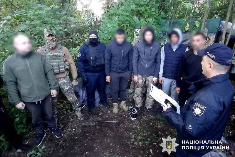 На Вінниччині викрито наркоорганізацію, яка вирощувала коноплю для збуту канабісу