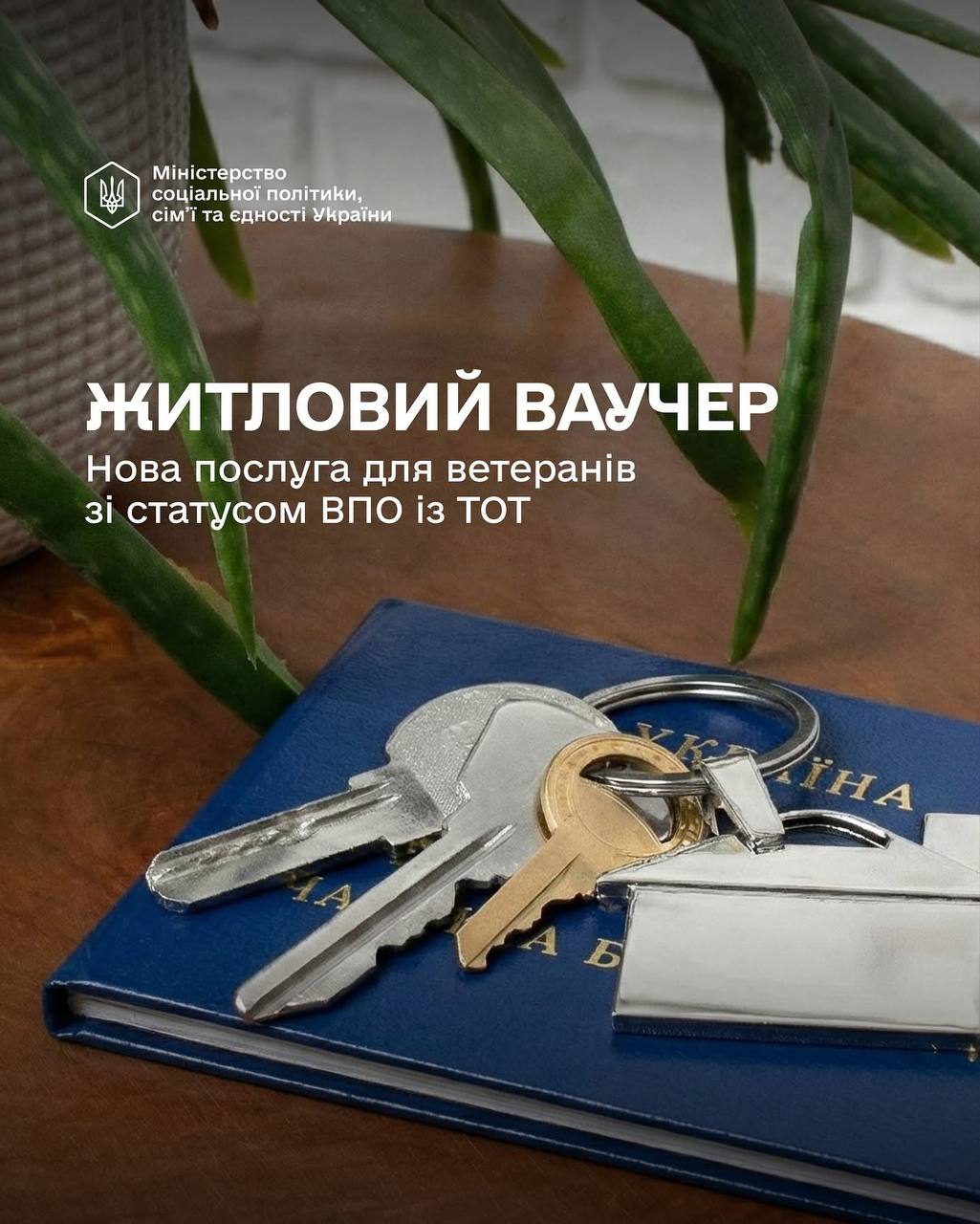 ВПО з ТОТ можуть отримати 2 млн гривень на житло