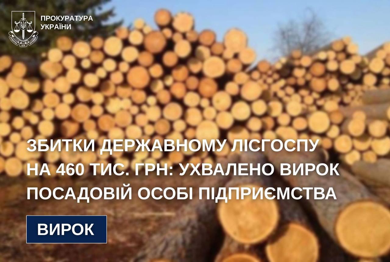 Колишнього майстра лісу на Вінниччині засудили за службову недбалість