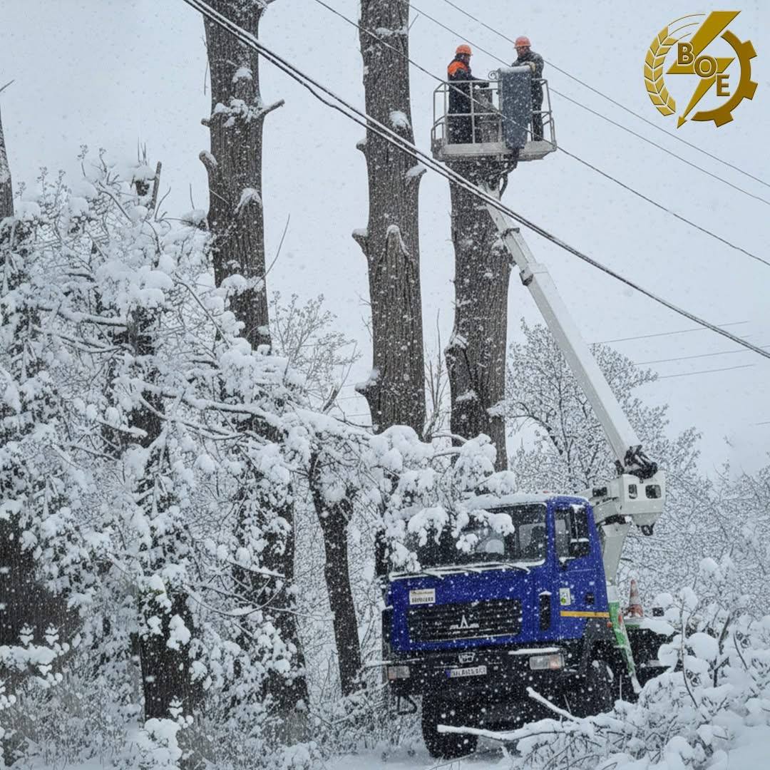 «Вінницяобленерго» розчищає траси ліній електропередач для безпеки та стабільного електропостачання