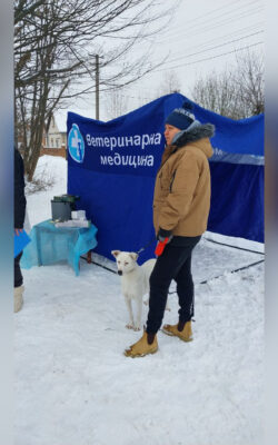 Вінницький район Онлайн