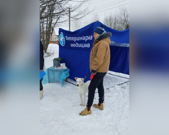 Вінницький район Онлайн