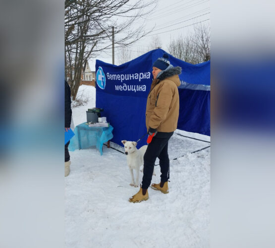 Вінницький район Онлайн