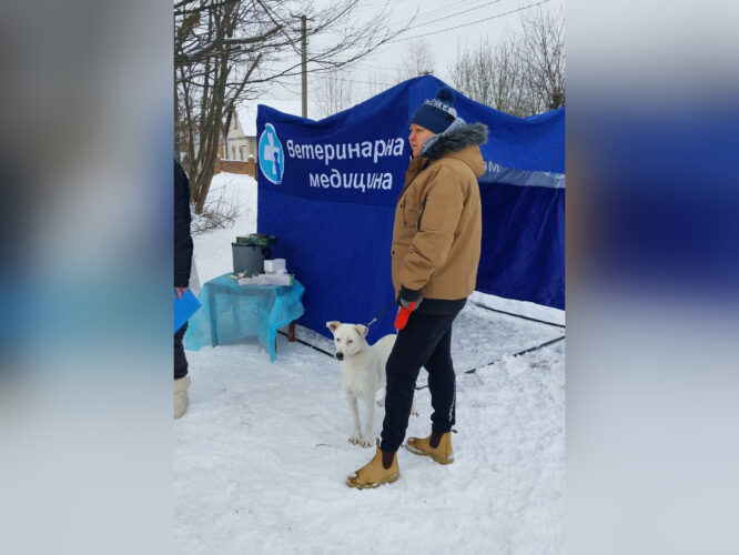 Вінницький район Онлайн