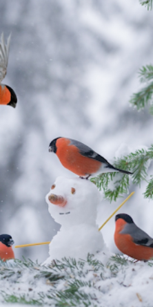 Вінницький район Онлайн