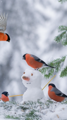 Вінницький район Онлайн