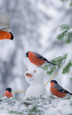 Вінницький район Онлайн