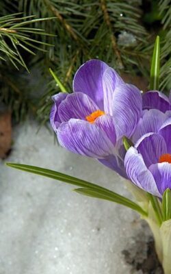 Вінницький район Онлайн