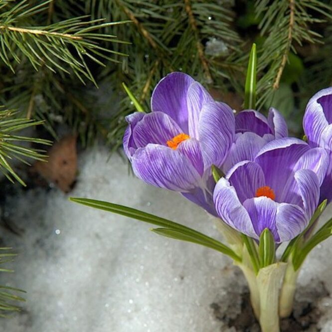 Вінницький район Онлайн