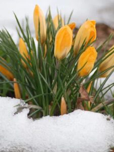 Вінницький район Онлайн