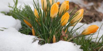 Вінницький район Онлайн