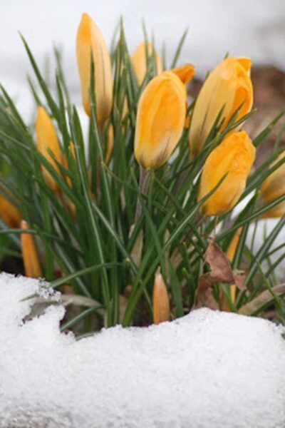 Вінницький район Онлайн