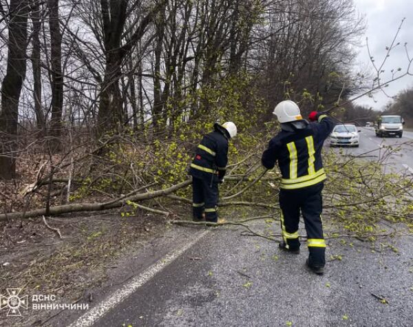 Вінницький район Онлайн