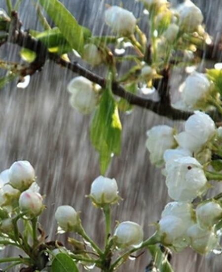 Вінницький район Онлайн