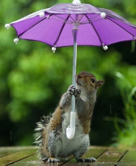 Вінницький район Онлайн