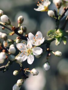 Вінницький район Онлайн