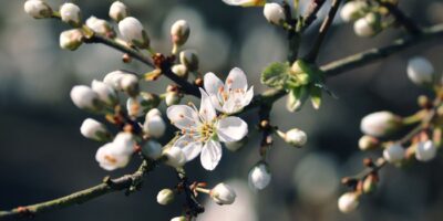 Вінницький район Онлайн