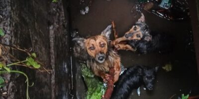 Вінницький район Онлайн